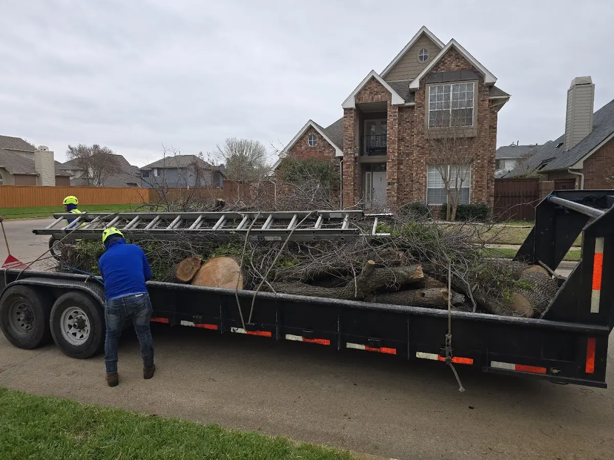 Expert Tree Removal with proper safety equipment in Cleaton